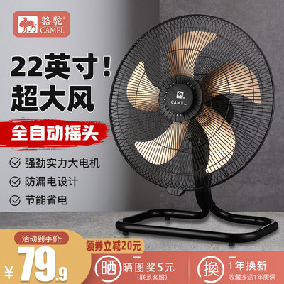夏日清涼新寵 探究當(dāng)下網(wǎng)購(gòu)熱門風(fēng)扇產(chǎn)品趨勢(shì)與選購(gòu)指南